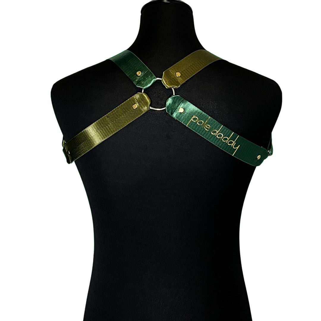 Back view of Hedonist Harness