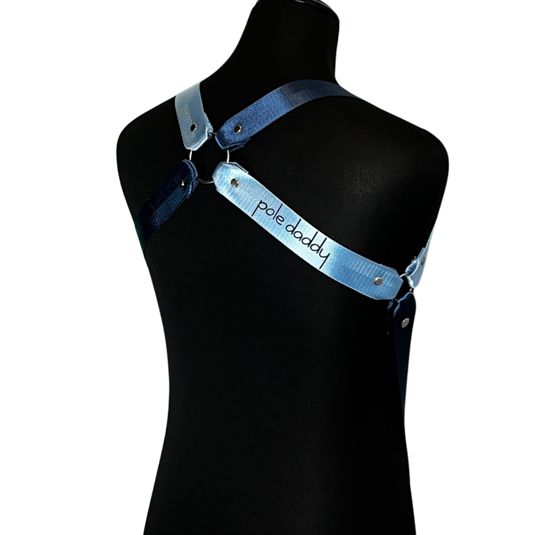 Imperial Harness Mannequin 6