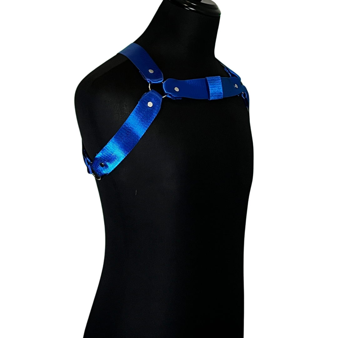 Royal Circuit Harness Mannequin 1