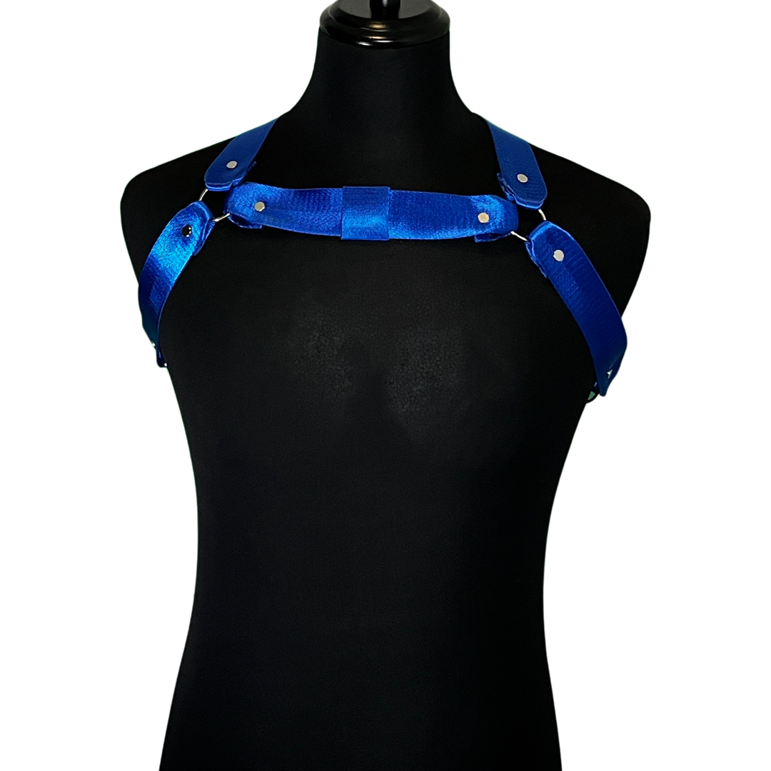 Front View of Royal Circuit Harness