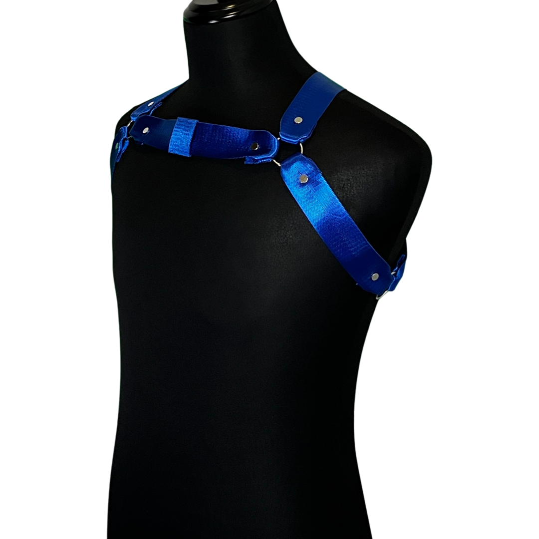 Front Right of Royal Circuit Harness