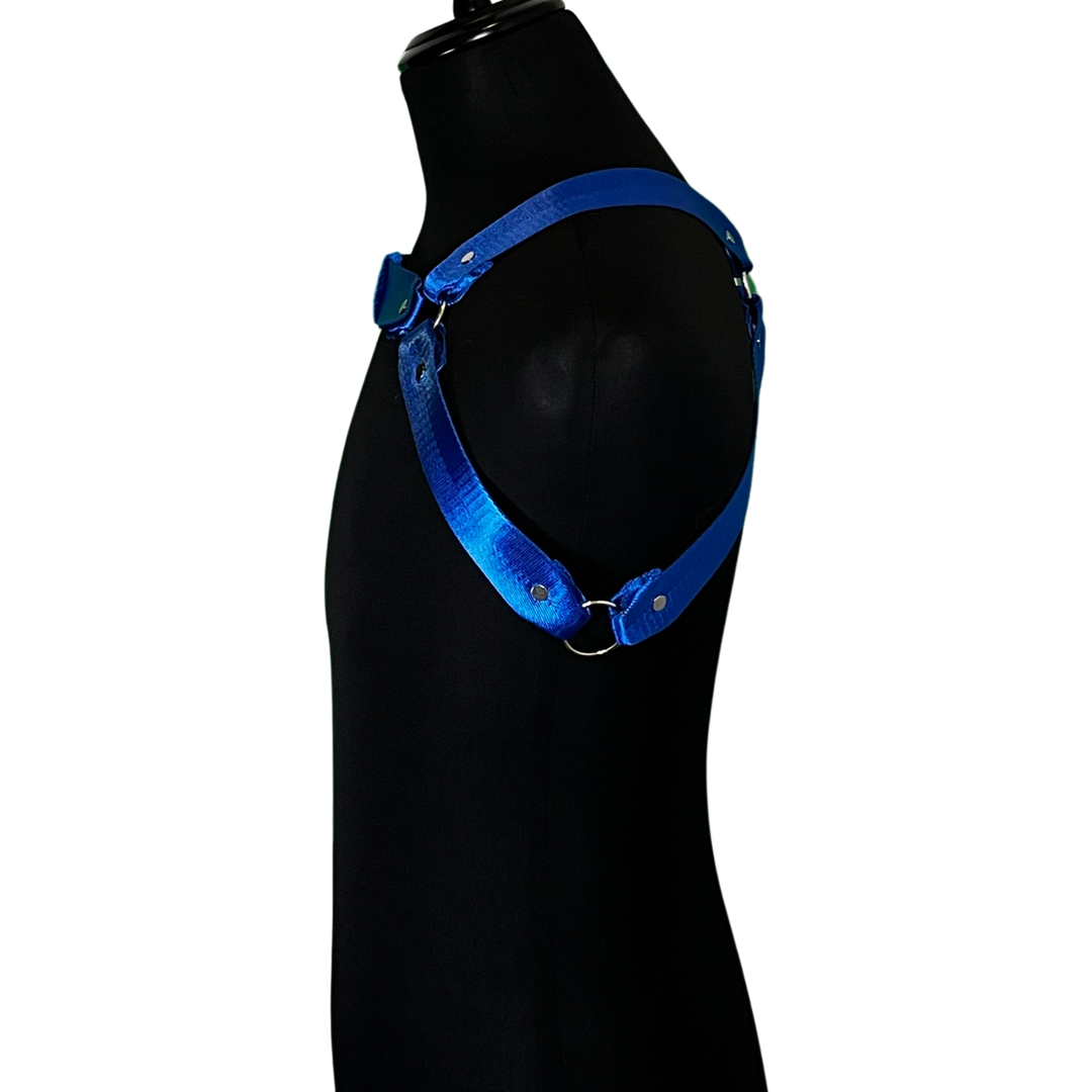 Side view of Royal Circuit Harness