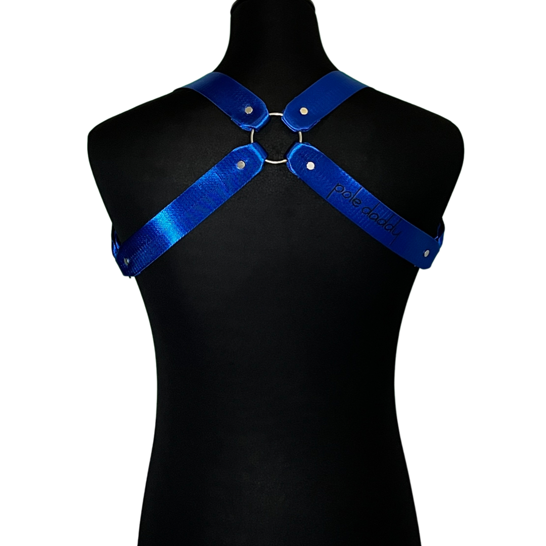 Back of Royal Circuit Harness