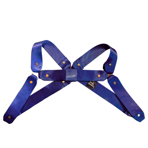 Front view of Royal Harness