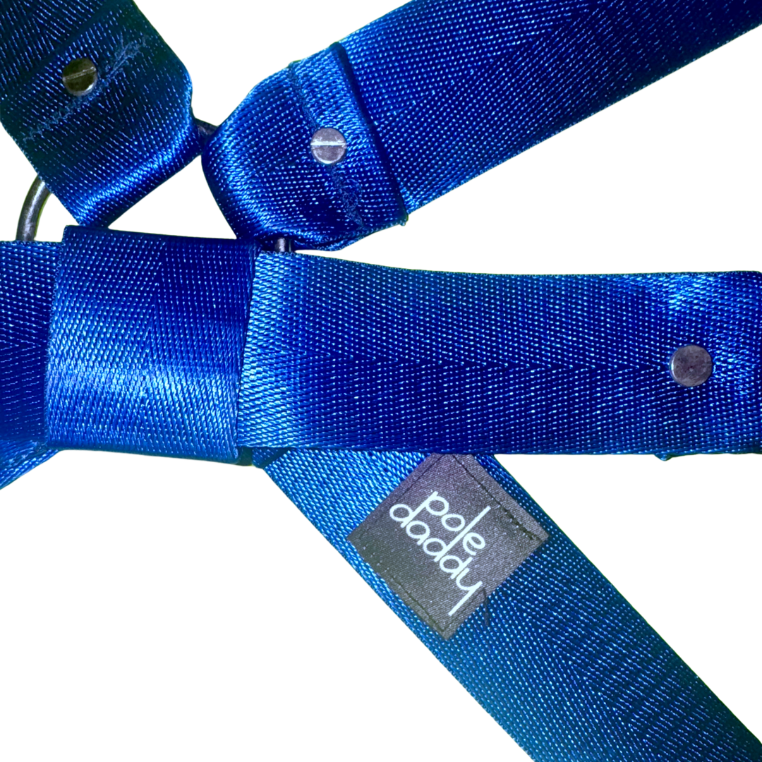 Close up of the Royal Harness